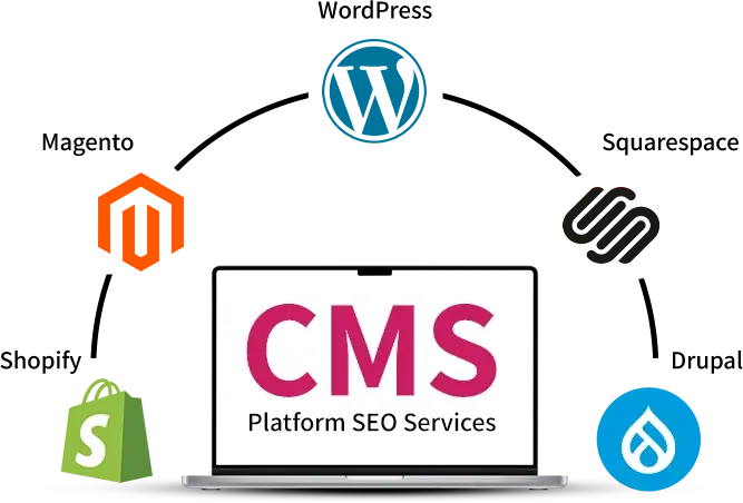 Toronto CMS Platform SEO Services