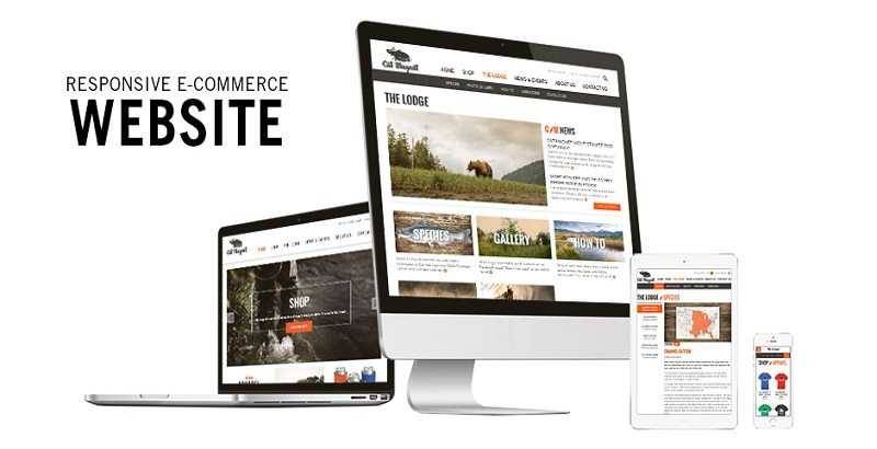 responsive-ecommerce-web-design.jpg