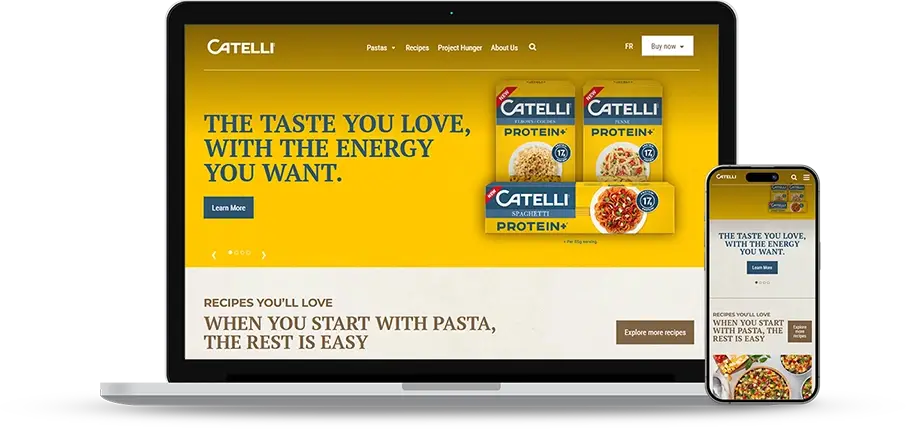Web Design Challenges Faced by Catelli