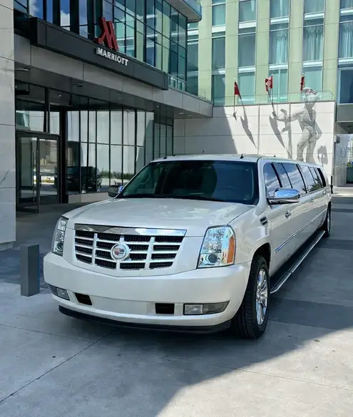 Sapphire Limo Case Study Background mage