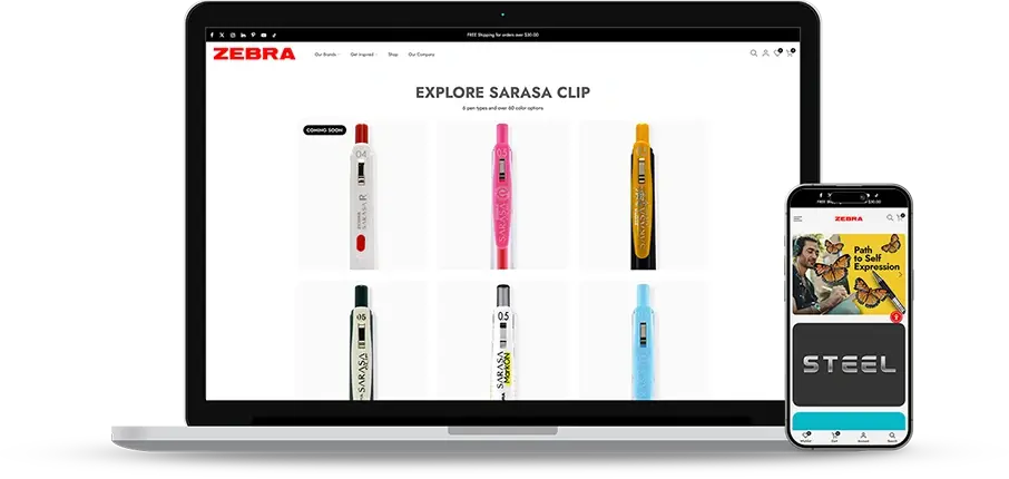 Web Design Challenges Faced by Zebra Pen