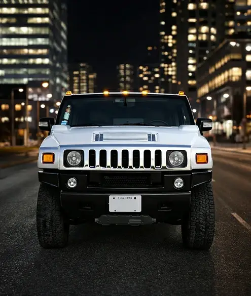 Lavish Limo Case Study Background Image