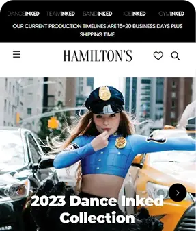 Hamiltons Theatrical Case Study Main Image